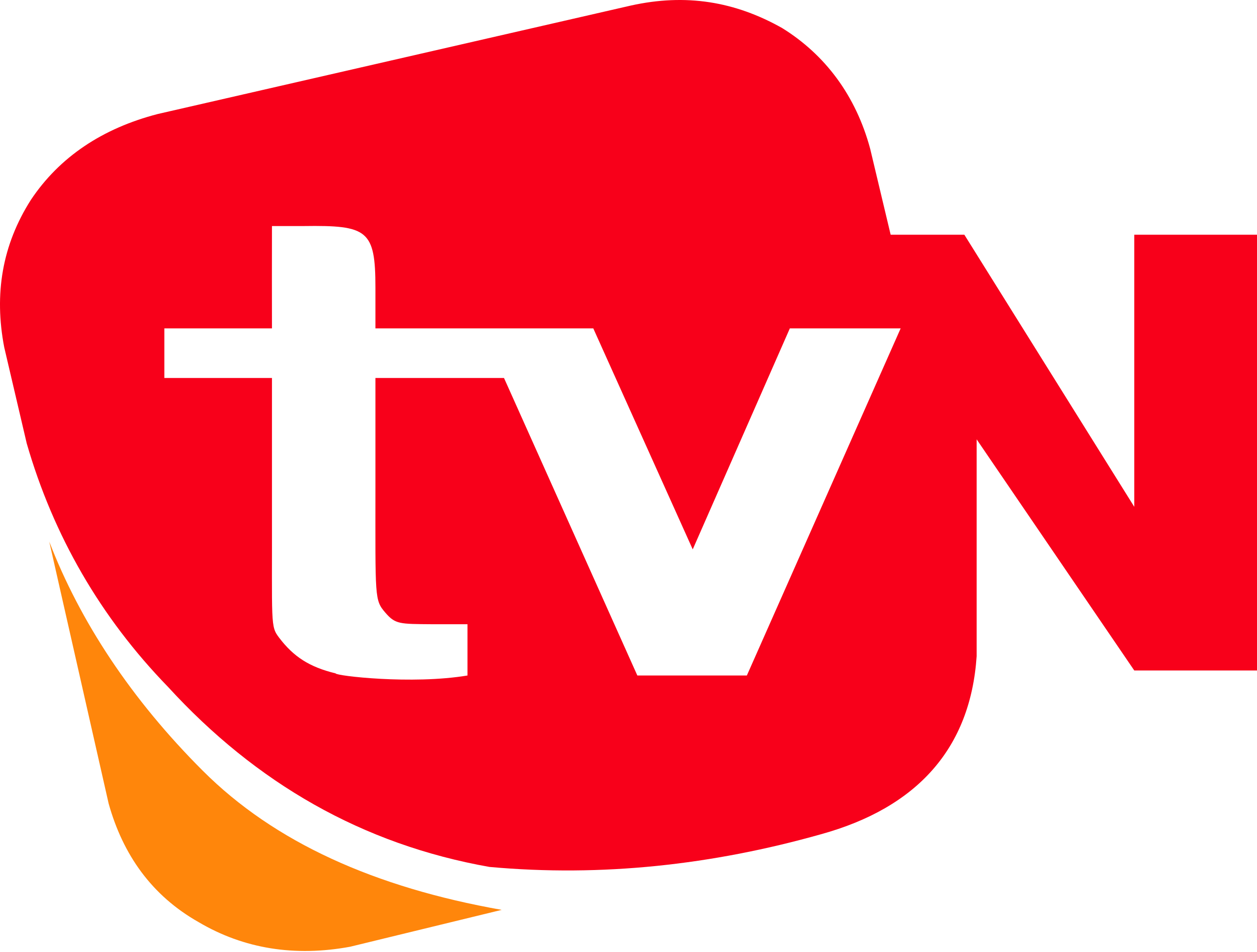 파일:tvN logo 2006.png